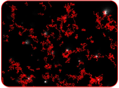 Typical image produced by NTA.