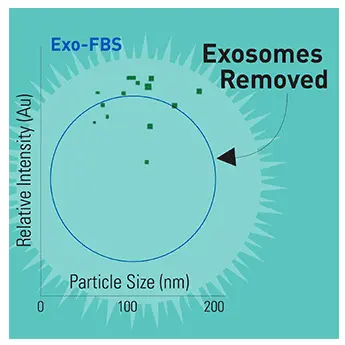 [EXO-FBS-250A-1] Exo-FBS