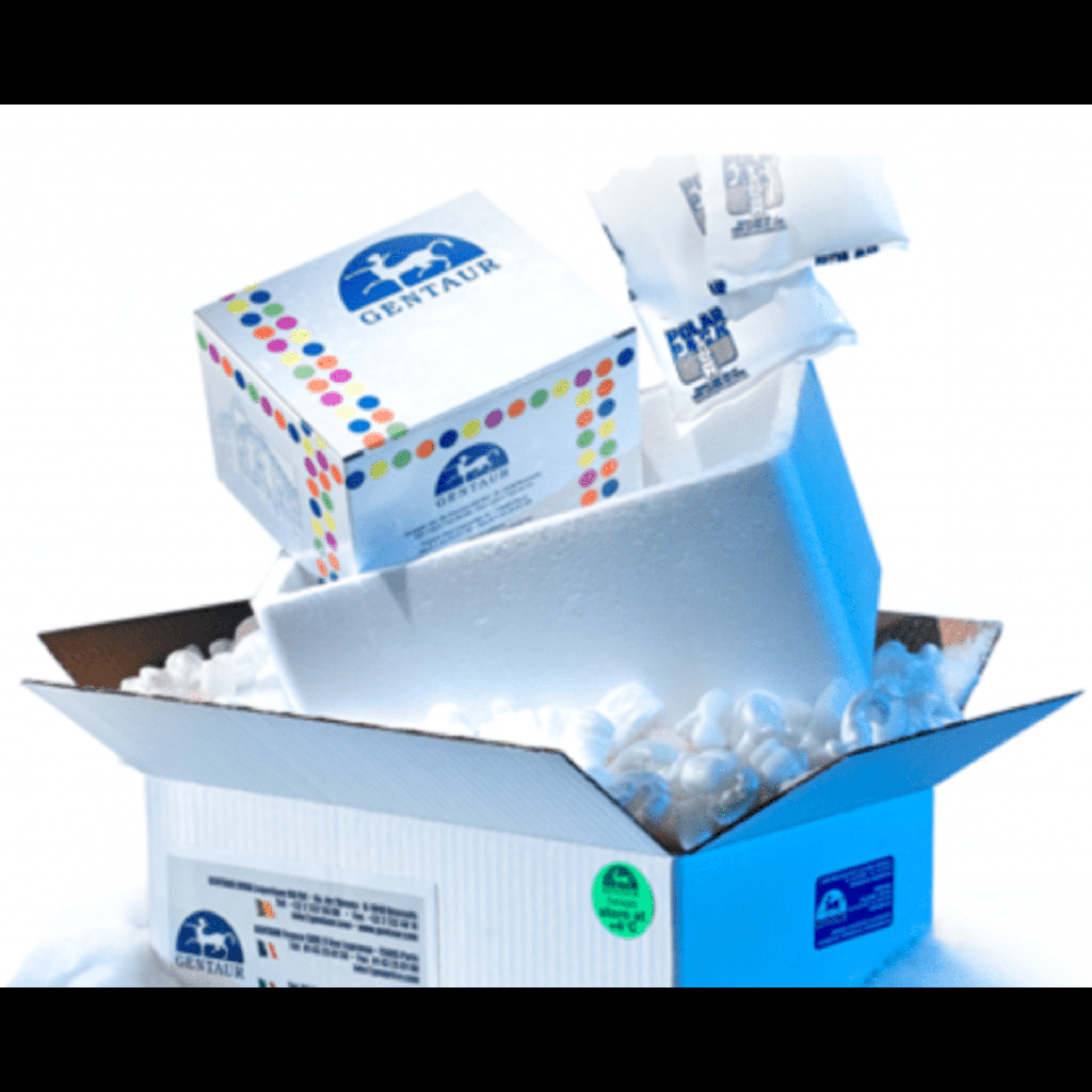 Butyrylcholinesterase Activity Kit  Colorimetric  size: 100 test